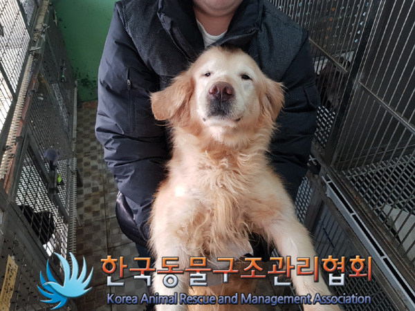 한국동물구조관리협회_441409202402005